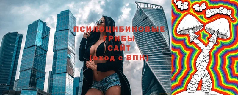 Галлюциногенные грибы ЛСД Сольцы